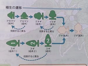 たたらばと森 dwos6rj たたらばと森 dwos6rj