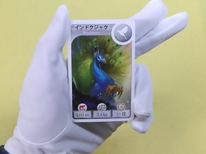 カードライン：動物編 | ハンドマンのボードゲーム紹介